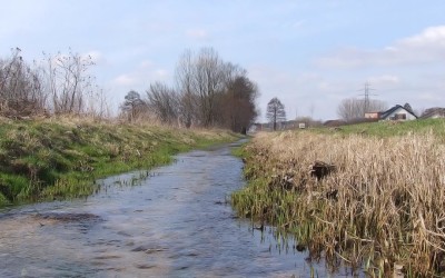 Międzyszkolny konkurs plastyczny