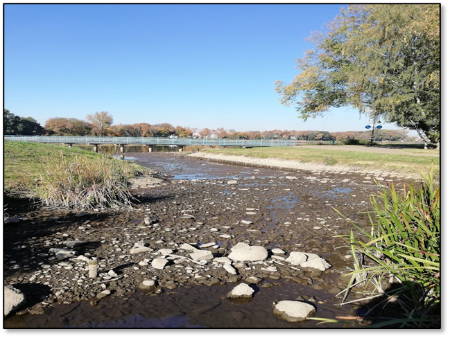 Adaptation of the Borki reservoir and the sedimentation ponds 